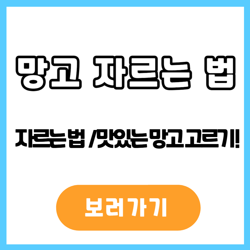 망고 자르는 법