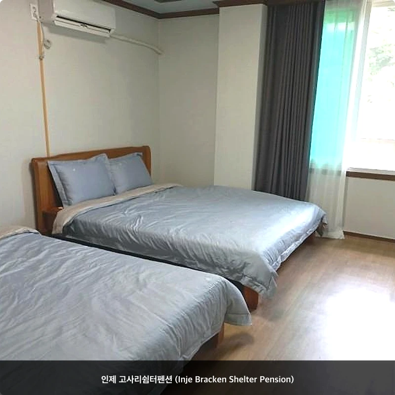 인제 고사리쉼터펜션 (Inje Bracken Shelter Pension)_2