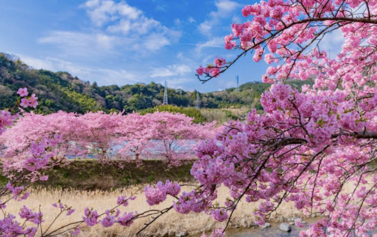 3월 kkday 할인코드 모두 정리 - 방콕 대만 일본 하와이 싱가포르 5~10% 할인코드