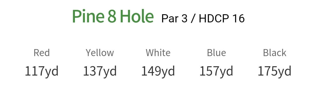 솔모로 컨트리클럽 파인코스 8