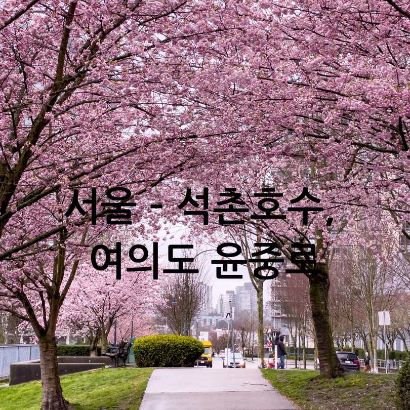 2025년 벚꽃 개화 시기 및 전국 명소