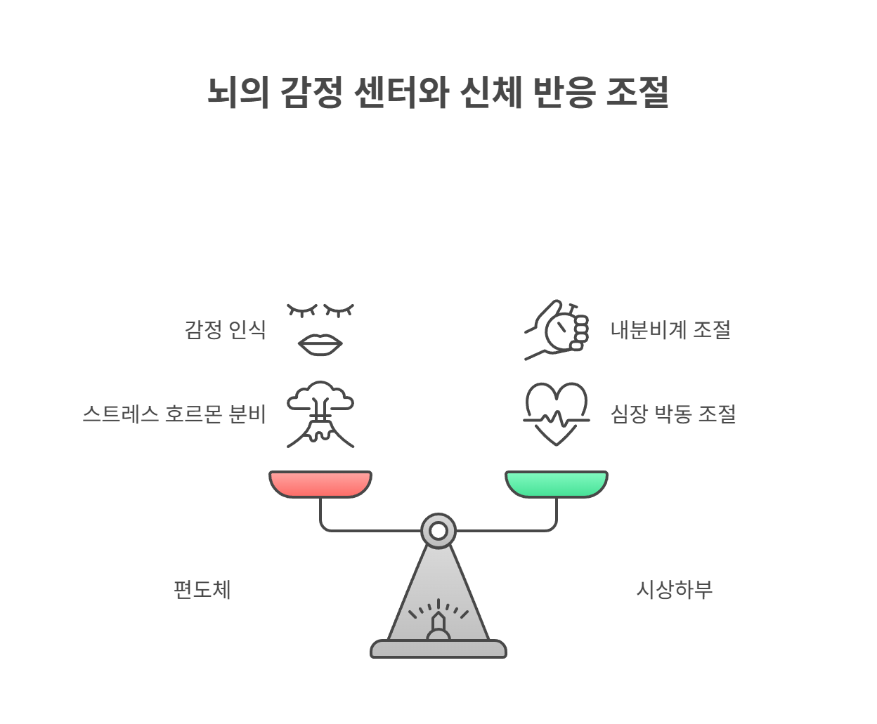 싫은 사람만 보면 아픈 이유, 뇌의 반응 때문?