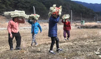 농한기 수익 아이템 건조채소 장아찌 씨앗판매 체험농장_22