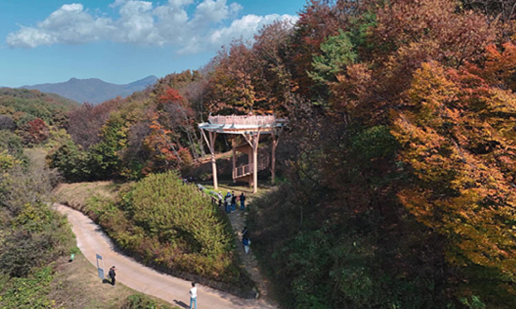 문경 돌리네습지