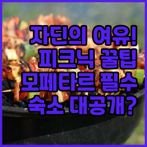 여유로운 오후 자딘데플랑트 피크닉 준..