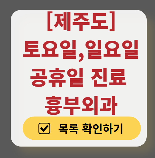 제주도 주말 토요일 일요일 흉부외과 진료 병원 목록 ❘ 공휴일 진료 영업 병원 리스트 찾기