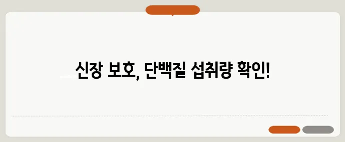 단백질 과다 섭취 신장 부담 줄이는 1일 섭취량 계산이 중요합니다!