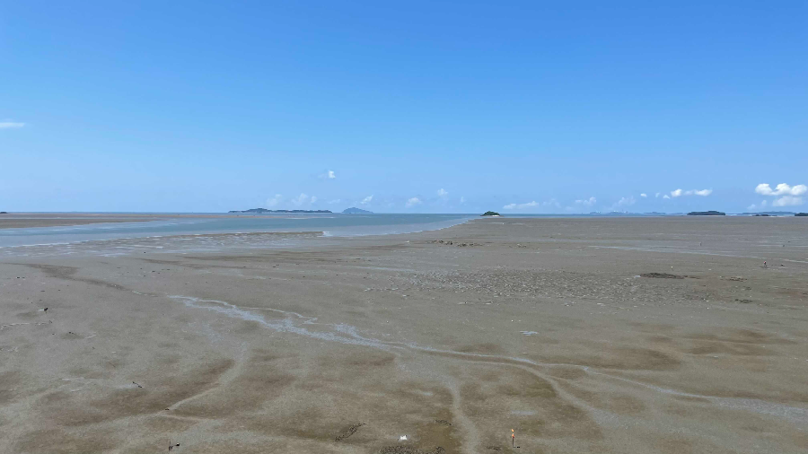 장항 스카이워크