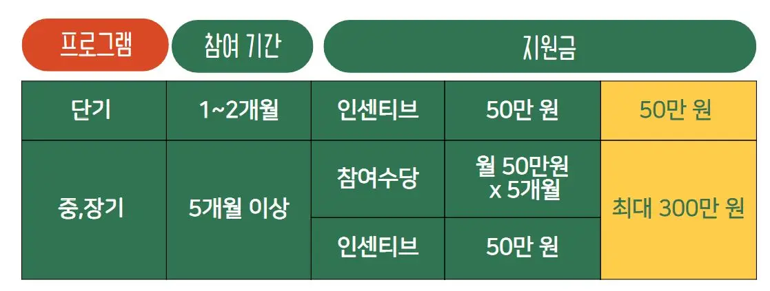 2 참여 프로그램에 따른 지원금 내용