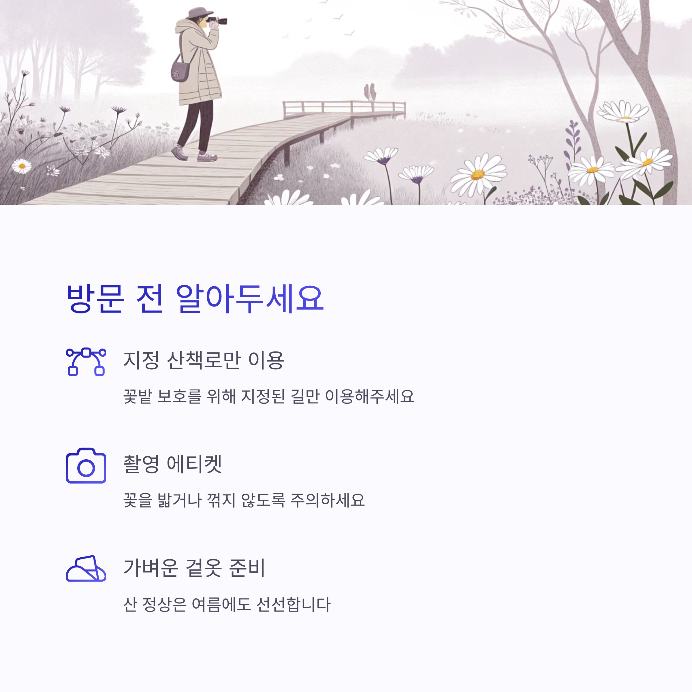 꽃 보호를 위한 지정 산책로 이용 안내와 사진 예절, 샤스타데이지 테마 일러스트 이미지