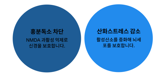 마그네슘 효능