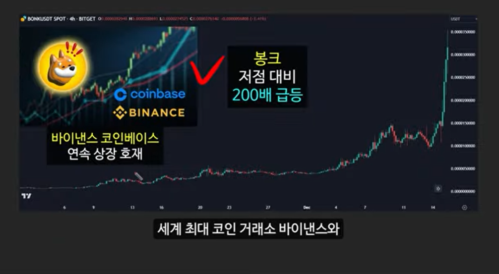 급등할 솔라나 밈코인 캣인어독스월드(MEW), 도지코인, 플로키, 벤도그, 마더, 그레이머, 워젝, 네버, 두코, 봉크