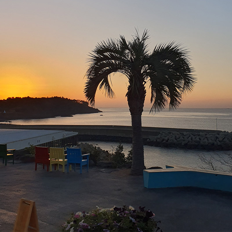 제주도-여행-코스