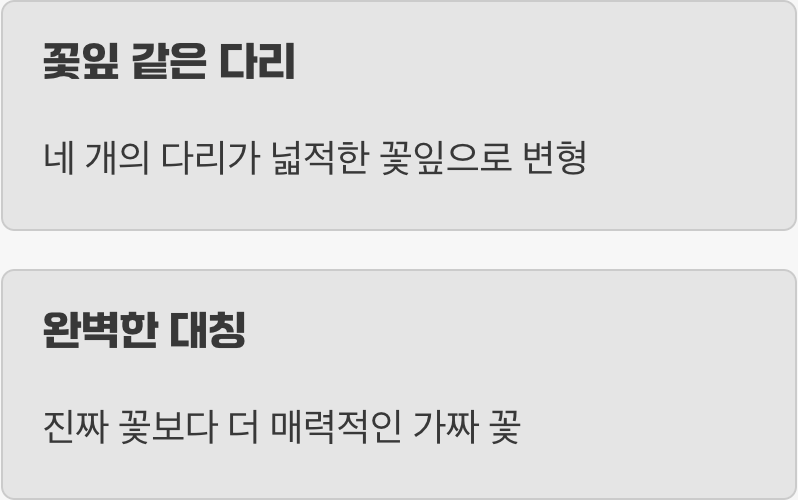 꽃보다 더 꽃 같은 모습