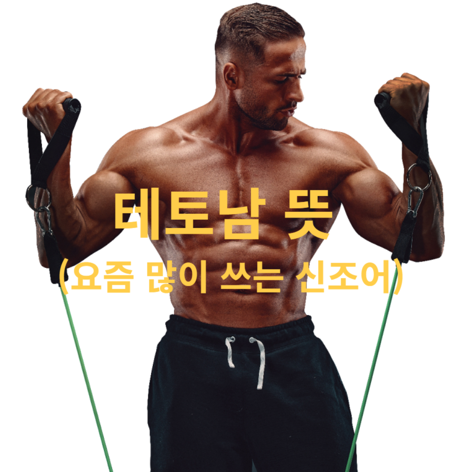 테토남 뜻 (요즘 많이 쓰는 신조어 완벽 해설)