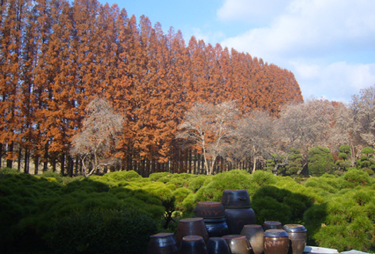 익산 아가페정원