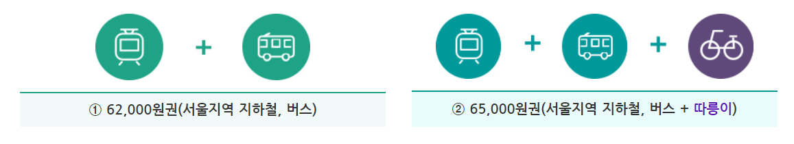 기후동행카드 가격