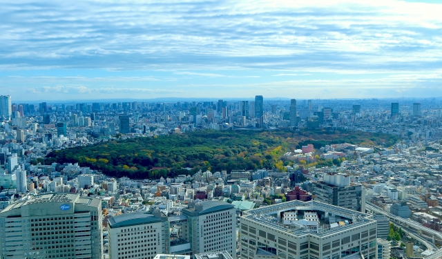 신주쿠 교엔 예매(예약), 가격, 영업시간, 가는법, 맛집까지 총정리!