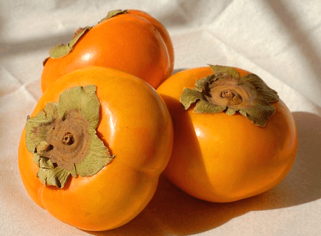 단단하게 생긴 단감 3개가 하얀 천 위에 놓여있다.