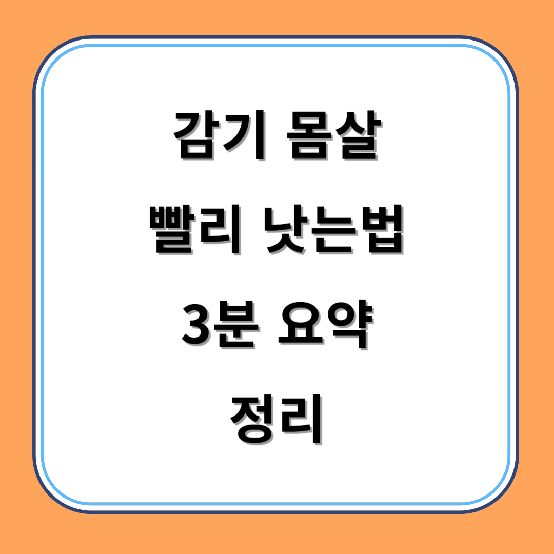 감기 몸살 빨리 낫는법 3분 요약 정리 섬네일
