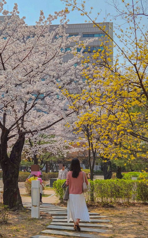 경희대 국제 캠퍼스 포토존