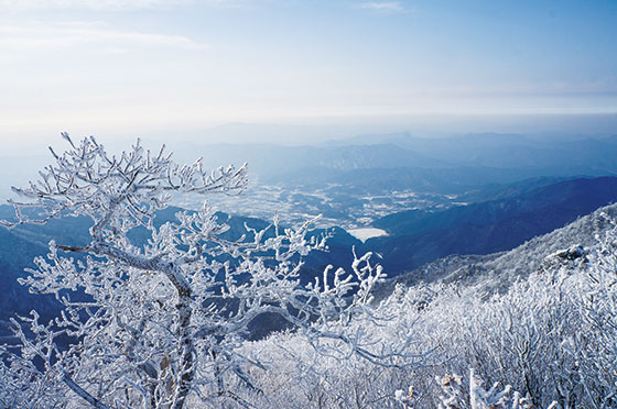 무주 덕유산리조트