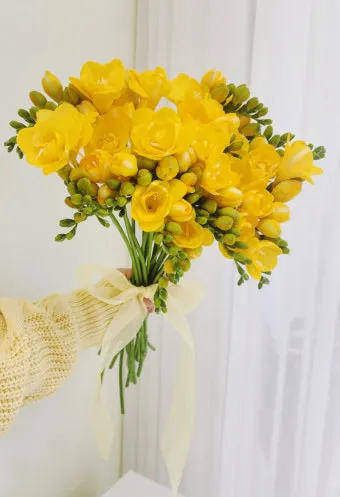 프리지아 수선화 꽃말 꽃다발 선물 의미_4