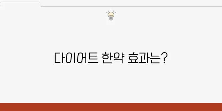 다이어트 한약과 현대식 식단 병행법