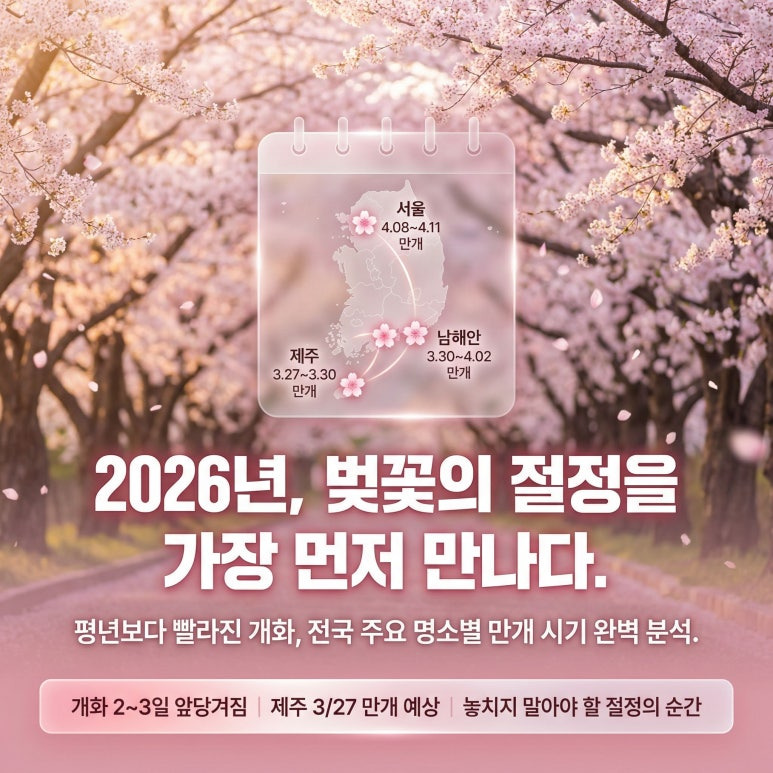 벚꽃 사진 잘 찍는 꿀팁