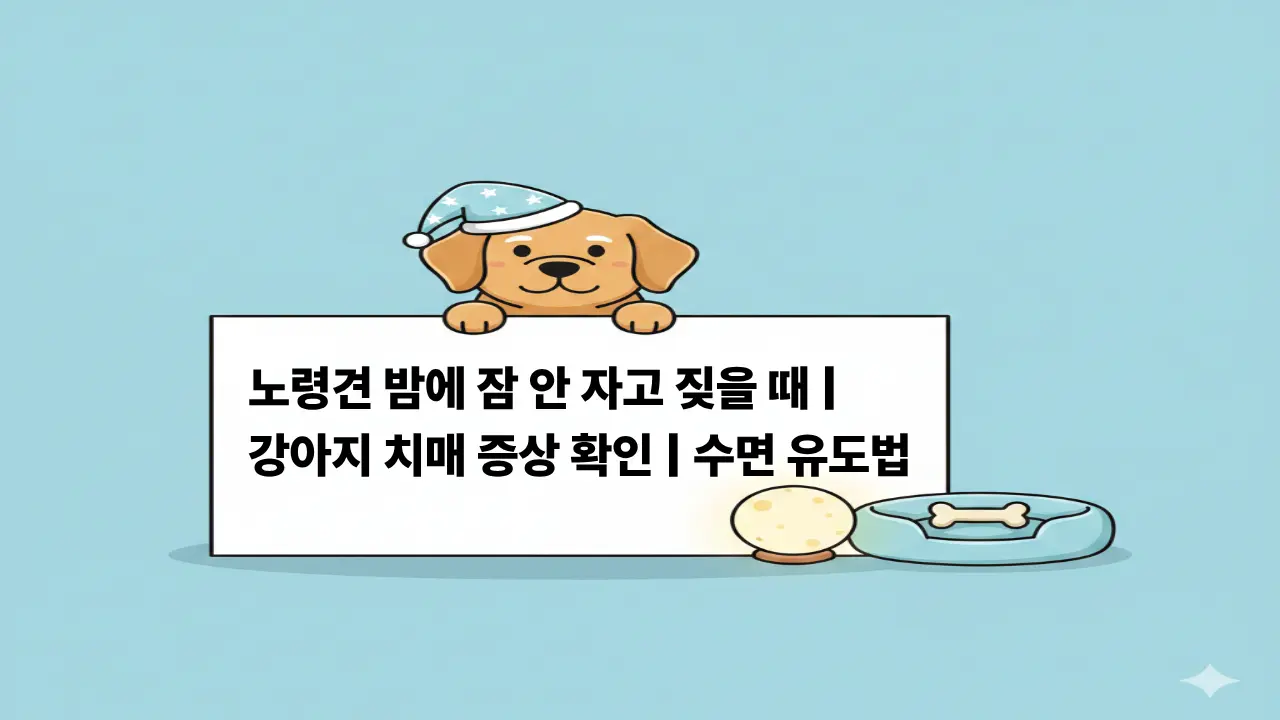노령견 치매 증상과 밤에 잠 안 자는 강아지를 위한 수면 유도 방법 설명 일러스트 이미지