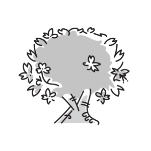 건강보험자격득실확인서