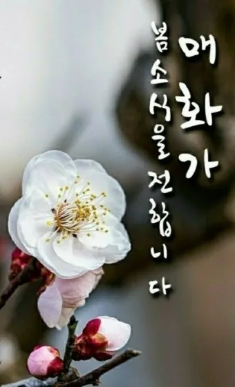 봄 인사말 모음 예시 메일_25