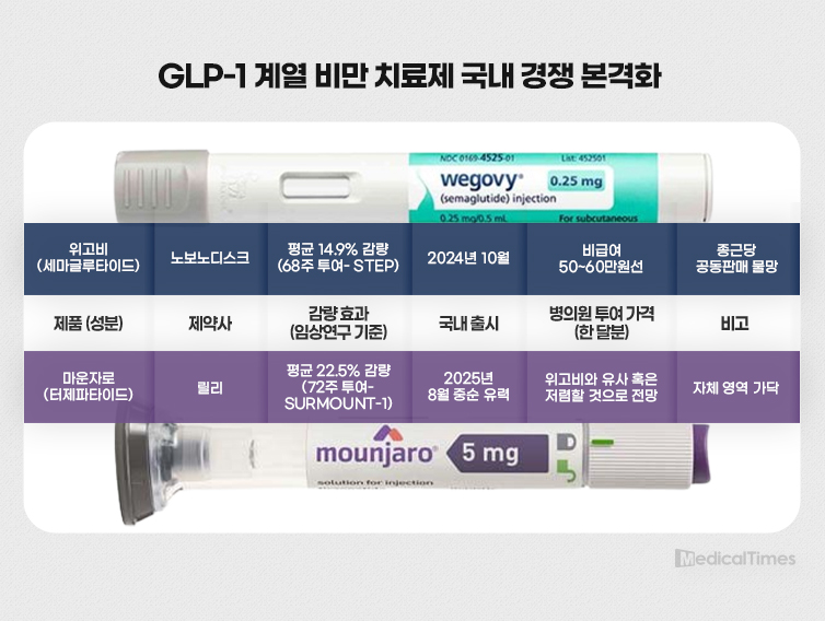 마운자로 부작용, 리스크, 관리 팁