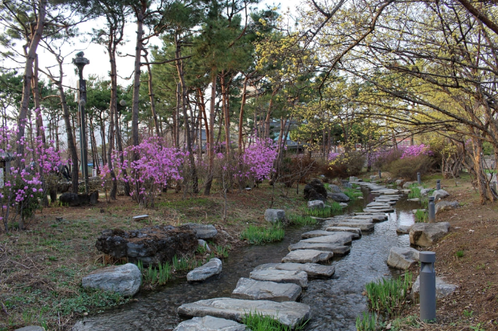 2024 세미원 연꽃축제