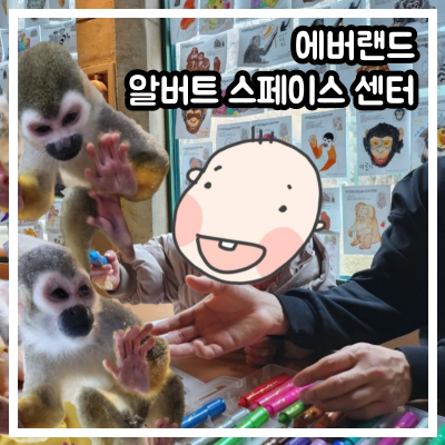 에버랜드 알버트 스페이스 센터