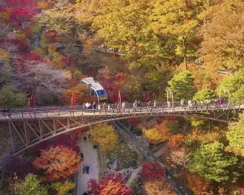 화담숲 예약, 모노레일_2