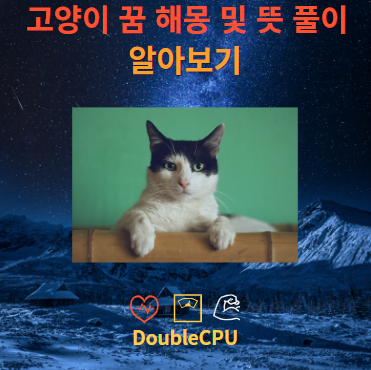 고양이 꿈 해몽 및 뜻 풀이