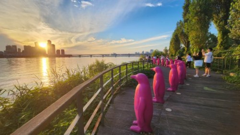 한강페스티벌 기본정보