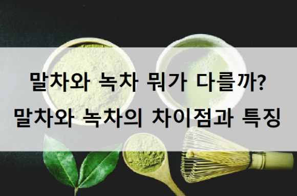 말차와 녹차 뭐가 달라? 말차와 녹차의 차이점과 특징