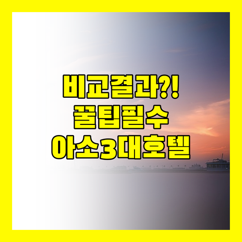나만 모르는 아소 3대 호텔 즉시 비..