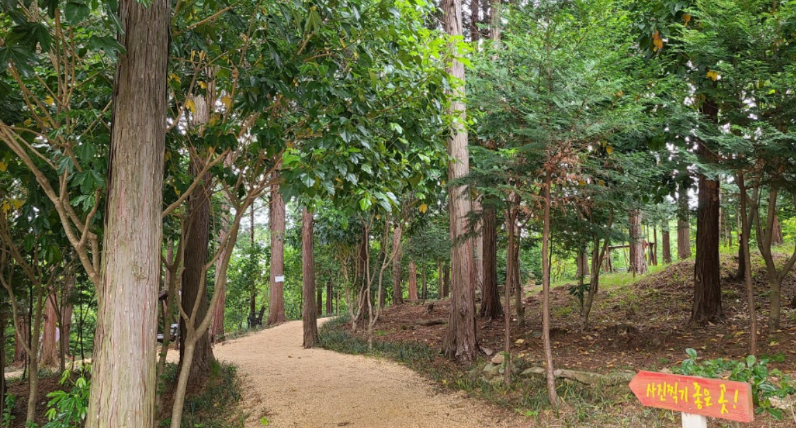 장흥 편백숲 우드랜드