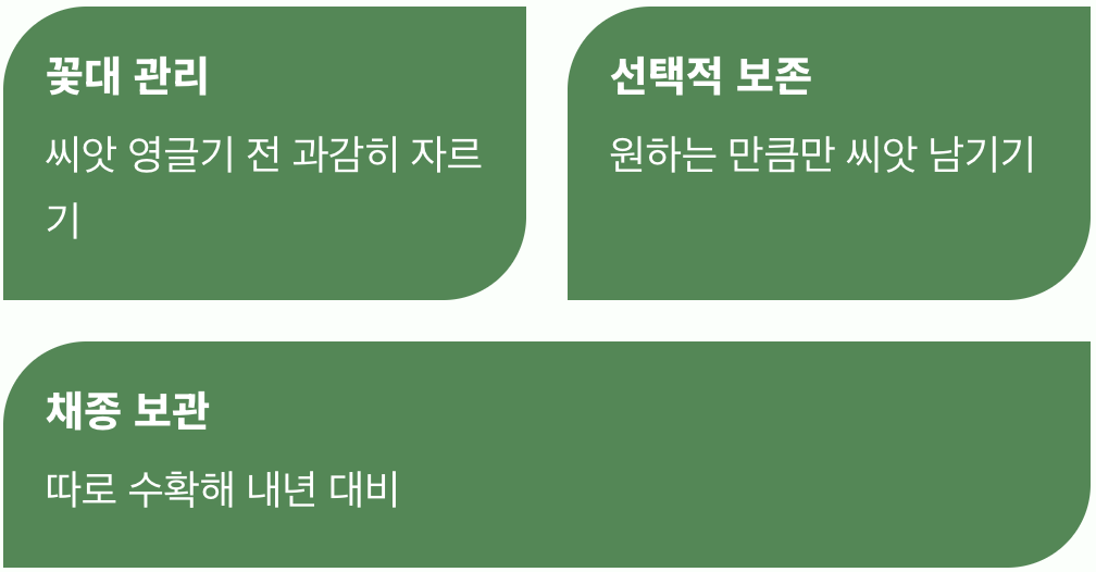예쁜 잡초가 되지 않게 하려면?