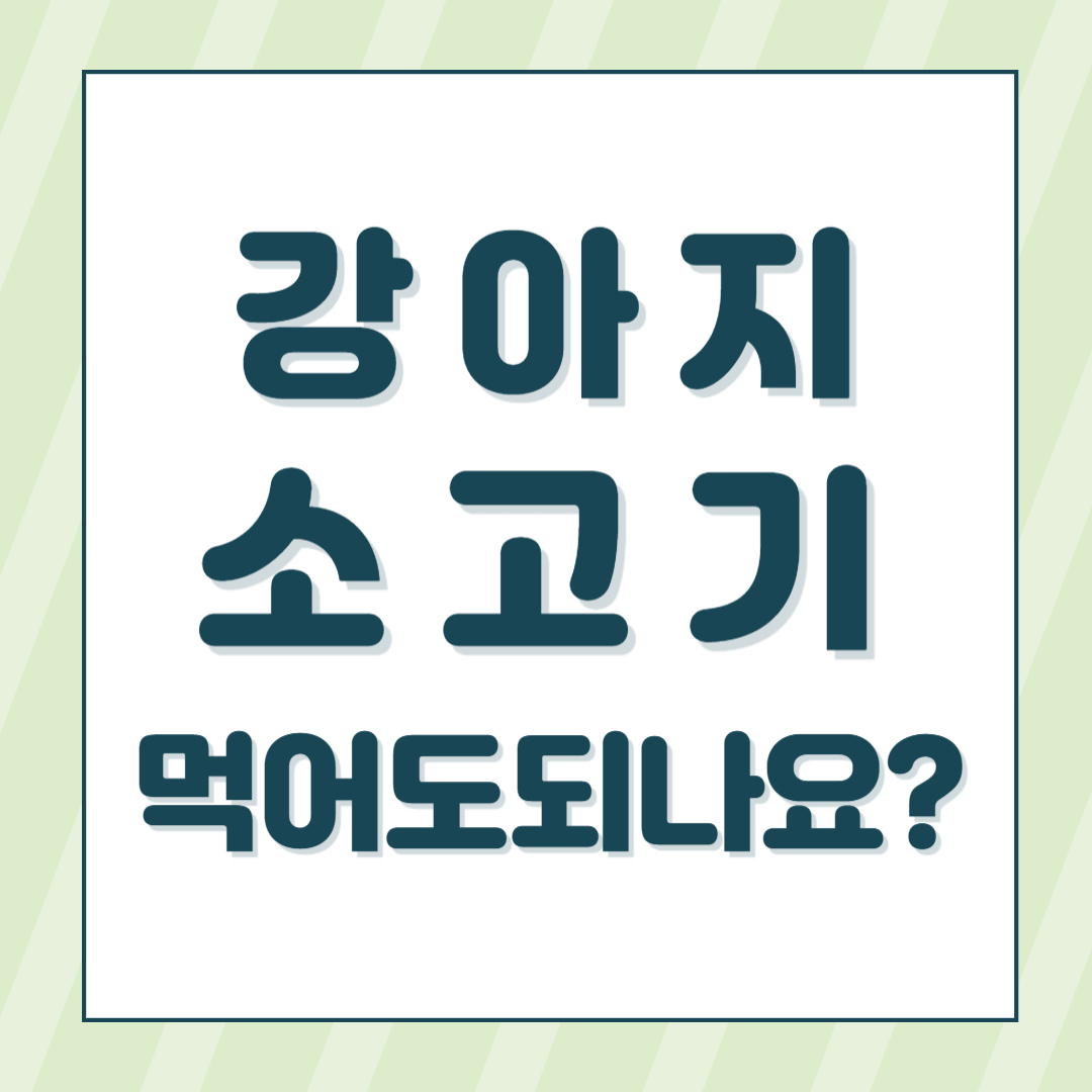 강아지소고기