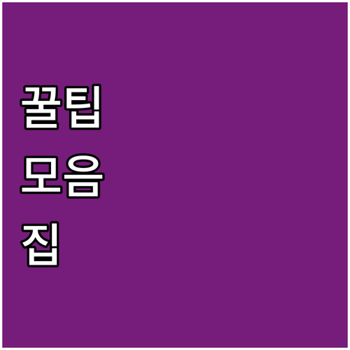 새생명 축하 2025 중랑구 장애인가..