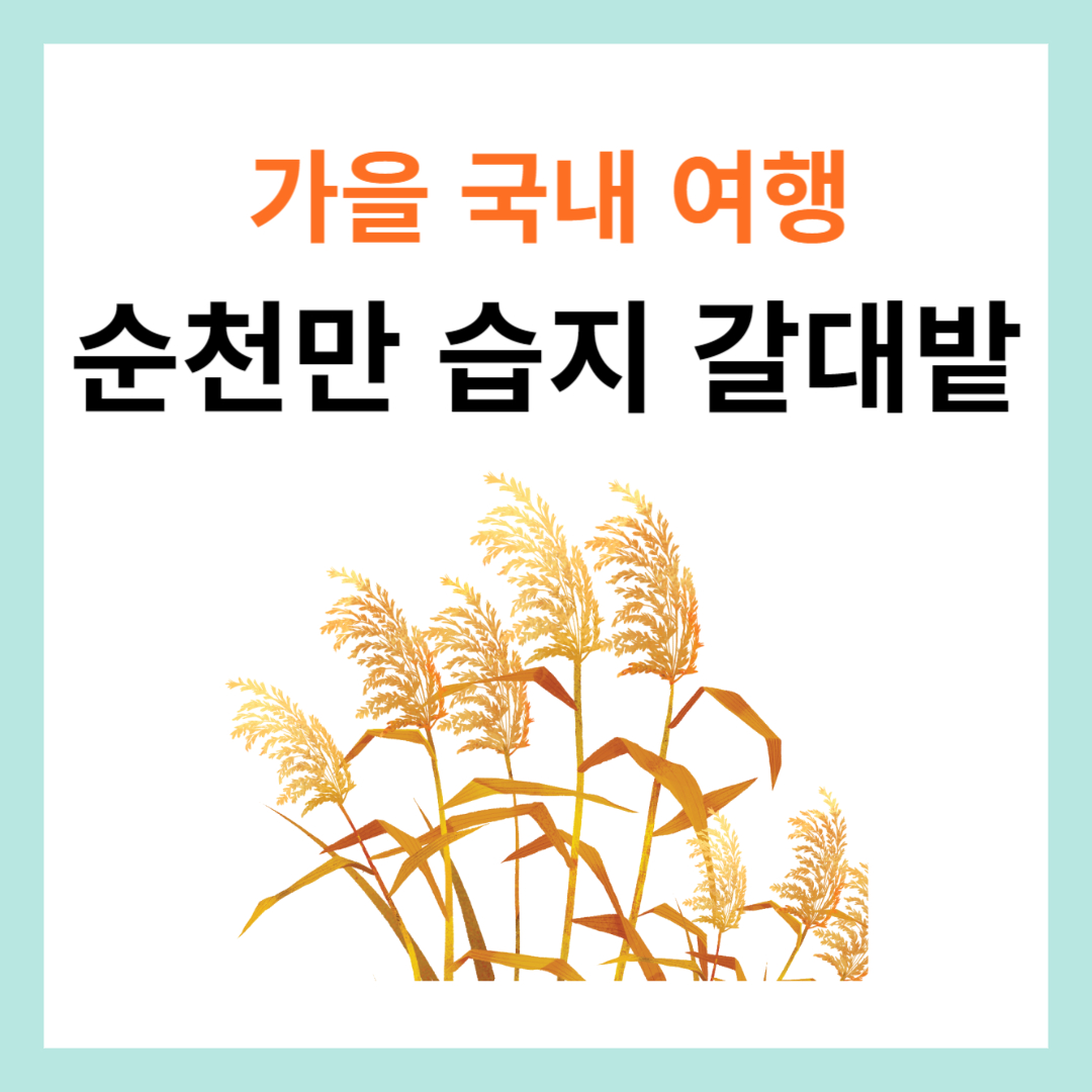 순천만습지안내-썸네일
