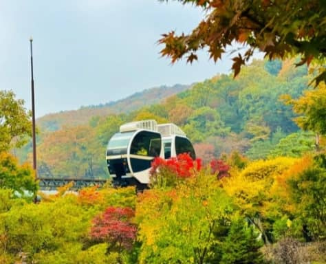 화담숲 이미지