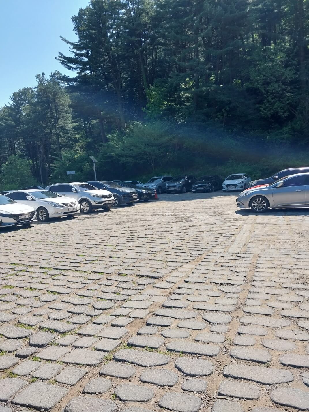 다양한 체험활동이 가능한 &amp;#39;잣향기푸른숲&amp;#39;