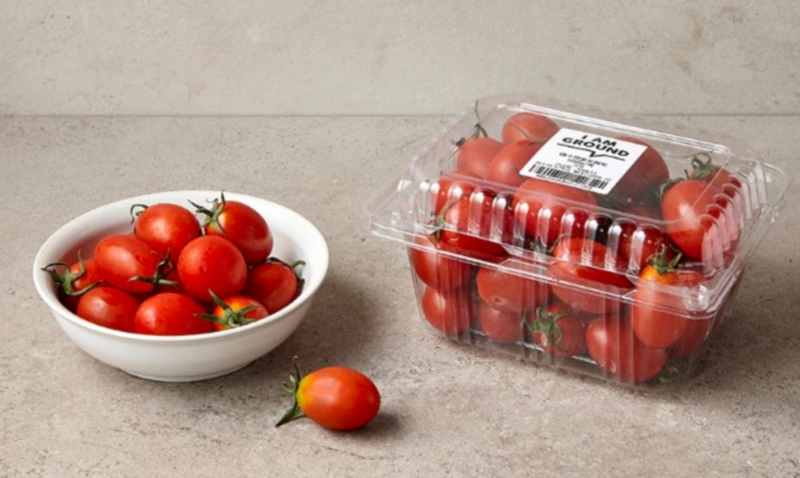 솔라닌 부작용을 피하는 방법