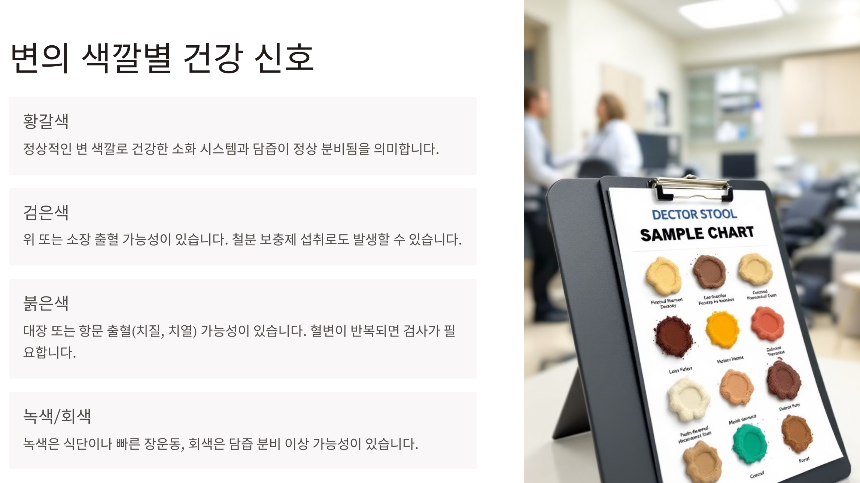 하루에 대변 보는 횟수 - 정상 범위 &amp; 건강 신호 알아보기
