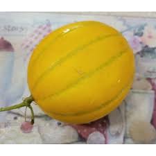 망고참외 관련 사진